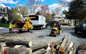 Best Tree Mulching  in Severn, MD