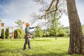 Best Lawn Renovation and Restoration  in Severn, MD